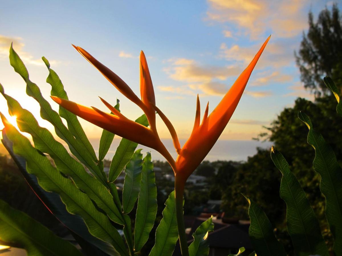 Bounty Lodge Tahiti Arue  Exteriér fotografie