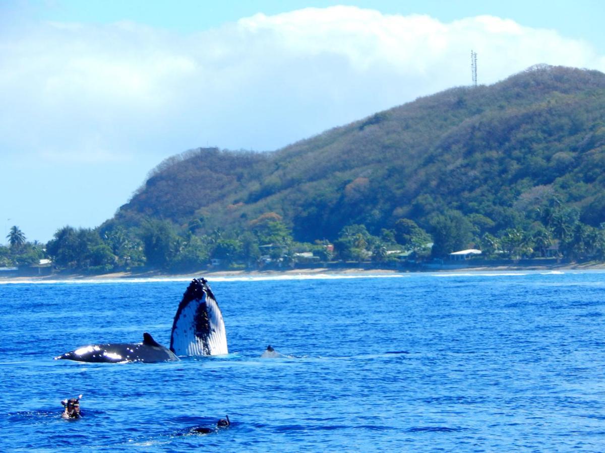 Bounty Lodge Tahiti Arue  Exteriér fotografie