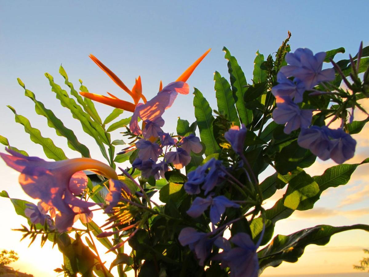 Bounty Lodge Tahiti Arue  Exteriér fotografie