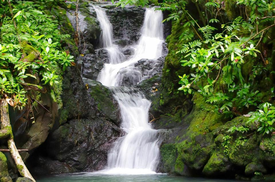 Bounty Lodge Tahiti Arue  Exteriér fotografie